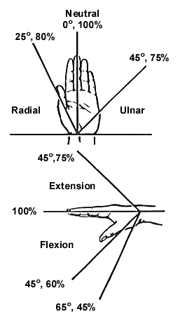 Hand Illustration Hand Illustration